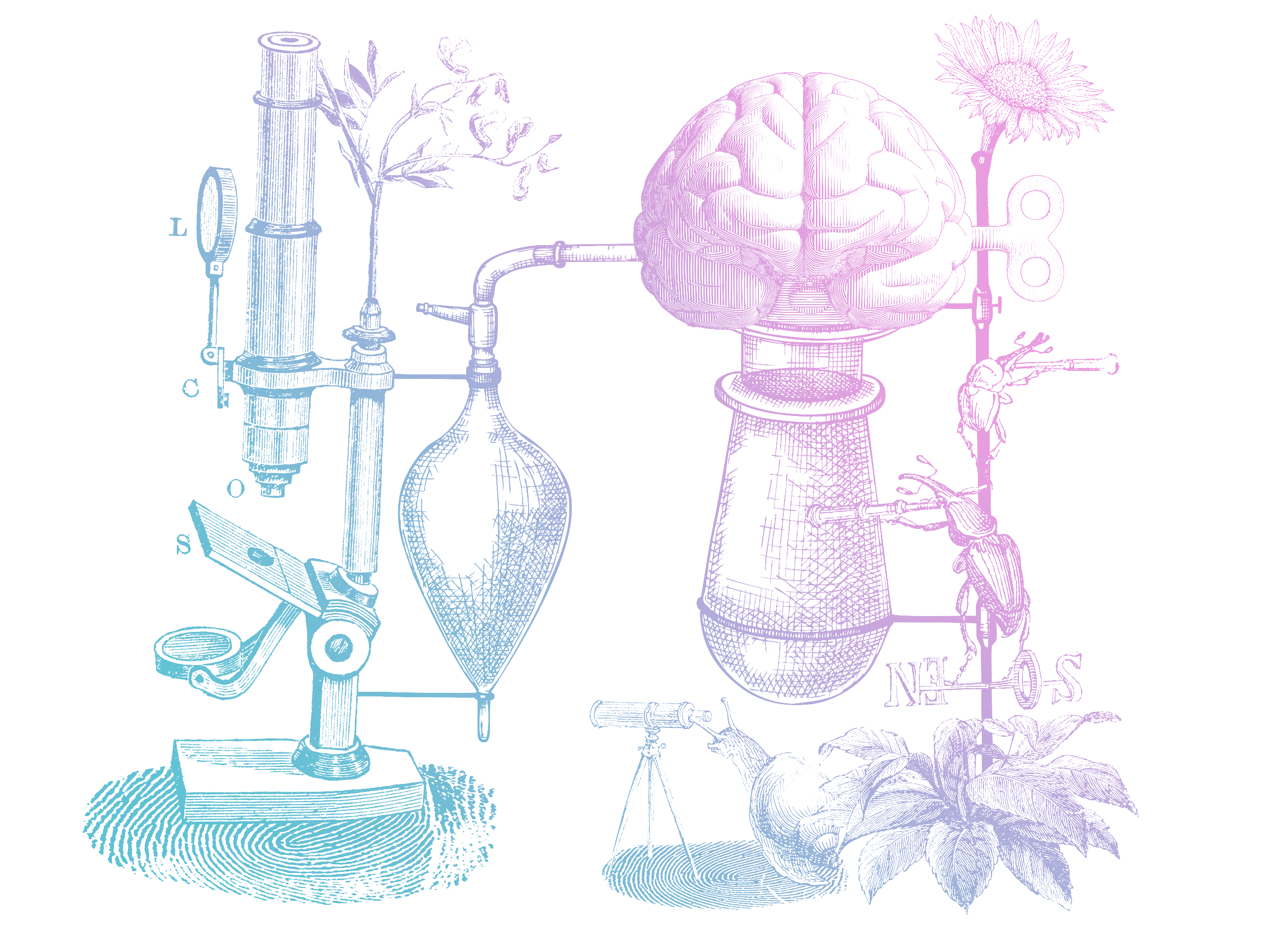 illustration collage